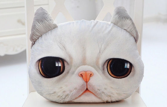 o delicado dos presentes da cara do gato 3D encheu o descanso do luxuoso, descansos decorativos para o sofá
